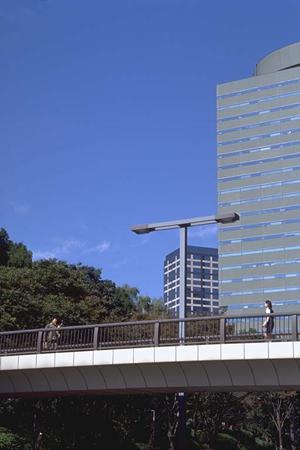 足場工事を安全に行う会社の取り組みとは