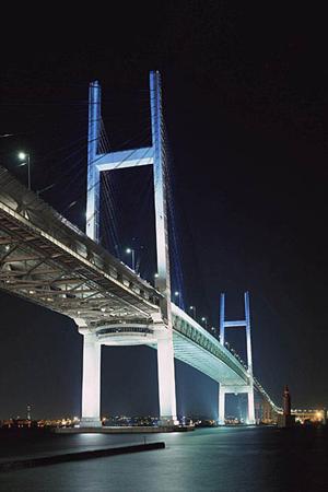 多くのシーンで活用できる便利なコンテナ