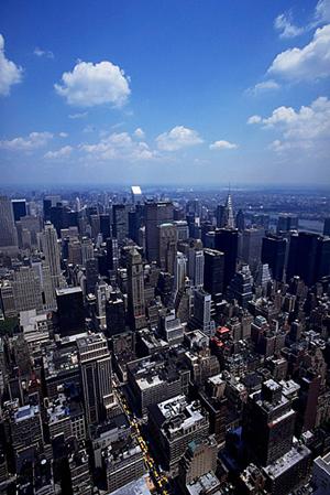 荷揚げ作業を効率化するための必須アイテムと安全対策ガイド