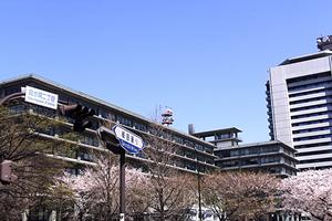 相模原の人気物件を探す方法とは