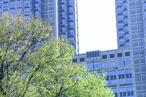 山口市での収益物件購入ガイド：利回り・市場動向を徹底解説！